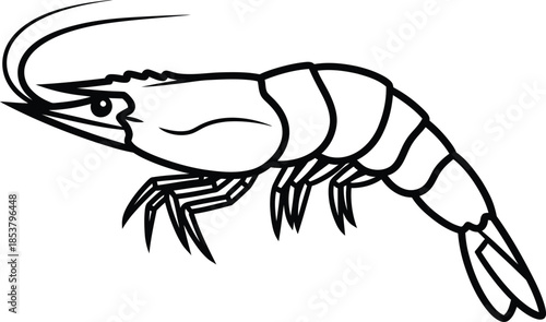 Simple black and white line drawing of a single shrimp with detailed features