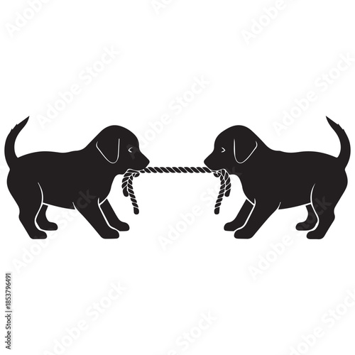 Two playful black puppies fighting with a rope toy together