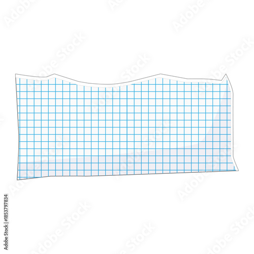 White graph paper sheet with ragged torn edge, blue grid lines and ample copy space isolated notebook scrap ideal for notes, school, math, planning and design concepts