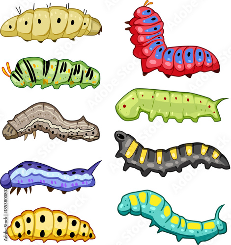 Various colorful cartoon caterpillars displaying different shapes, sizes, and patterns, representing the diversity of insect larvae, growth, and transformation stages