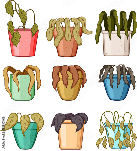 Nine potted houseplants in various stages of declinewilting, browned and shriveled leavesillustrating neglect, drought, poor care, plant failure and decay in a set collection