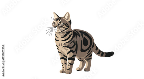 A beautifully illustrated American Shorthair tabby cat with classic swirl patterns standing proudly on a white background.