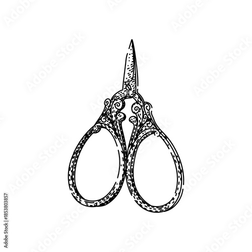 Detailed engraving style illustration depicting an elegant pair of antique sewing scissors with ornamental handles, symbolizing craft, tailoring, and handmade artistry