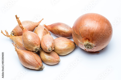Chalotas y cebolla sobre fondo blanco