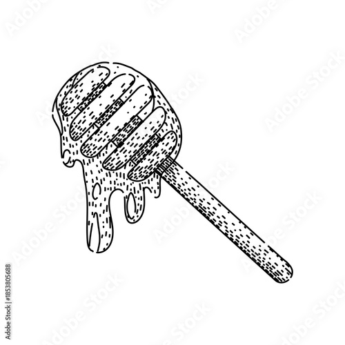 Honey dipper stick dripping golden amber honey, hand drawn line illustration on white background symbolizing natural, organic food, healthy eating and beekeeping