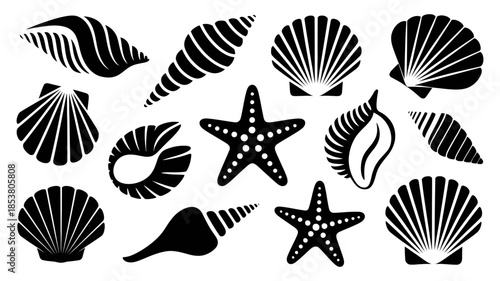 Collection of various seashells and starfish silhouettes