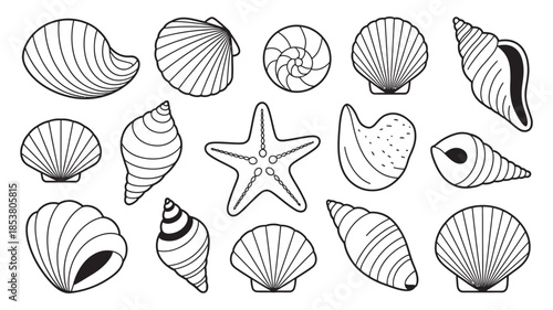Collection of various seashells and starfish outlines for artistic use