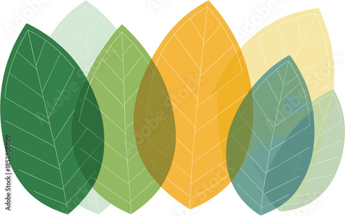 A collection of colorful leaves arranged in a layered pattern on a white background