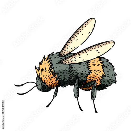Fluffy bumblebee illustration showcasing its distinctive black and yellow stripes, tiny wings, and antennae while representing concepts of nature, ecology, and vital pollination