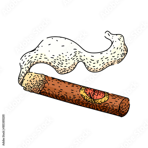 Burning cigar with detailed band releasing ornate plume of smoke, hand drawn vintage engraving style illustration on white background, retro line art sketch and vector ready design