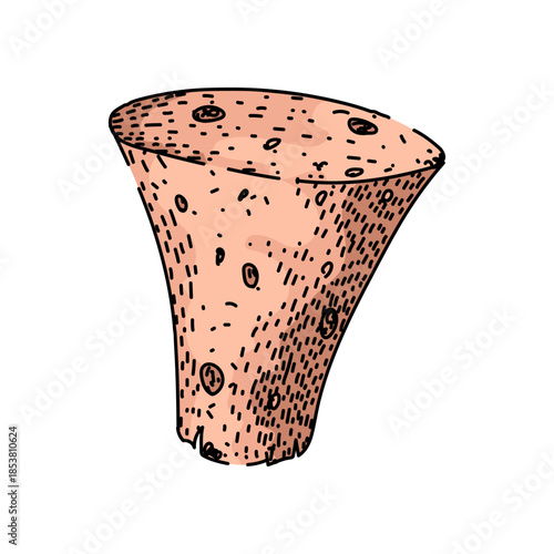 Drawing a natural wine cork, made from tree bark, featuring a textured surface and showing its tapered design often used for sealing wine bottles and other beverages