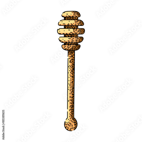 Wooden honey dipper in vintage engraving style, hand drawn line art of a rustic kitchen utensil for serving honey, organic sweet condiment, isolated on white background