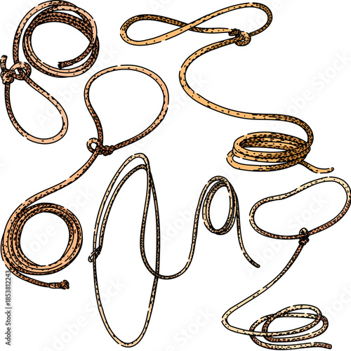Various hand drawn rope elements showing lasso shapes, coils, knots and loops with a rustic western, cowboy and ranch theme on a clean white background