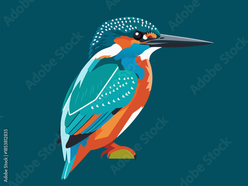 Vibrant Kingfisher Bird Illustration with Detailed Plumage and Teal Background