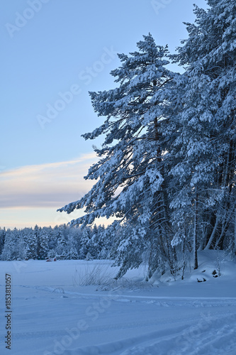 Winter landscape on a lake, for backgrounds or textures