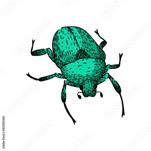 Stylized scarab beetle detailed illustration showcasing an iconic insect often associated with ancient egypt, rebirth, and protection in a vibrant green hue