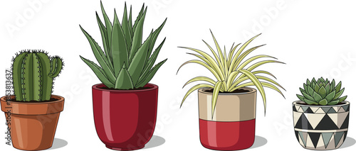 Set of indoor potted plants including green cactus, aloe vera, and desert succulents in decorative ceramic and terracotta pots, vector illustration.