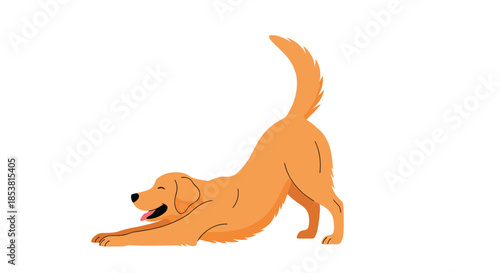 A happy and playful golden retriever dog stretching in a play bow pose in a simple and charming vector illustration on white.