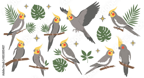 A charming collection of cute cockatiel parrots in various poses with tropical leaves and sparkles isolated on a white background.