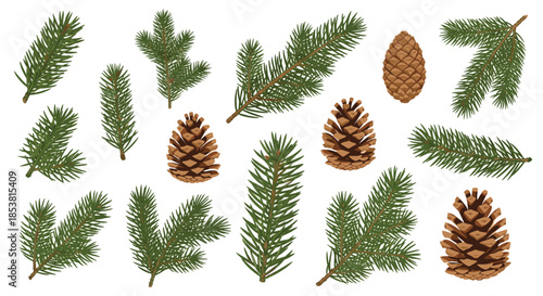 A beautiful and realistic collection of green pine branches and brown pinecones for winter and Christmas decorations on white.