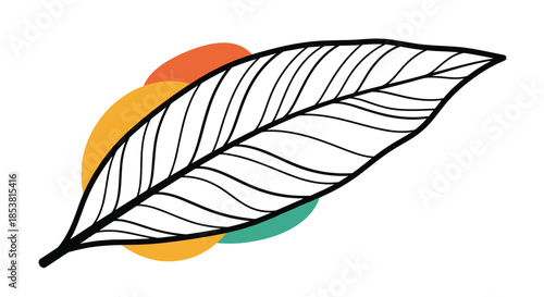 A minimalist black outline of a delicate leaf or feather set against a background of colorful abstract circles for a modern logo.