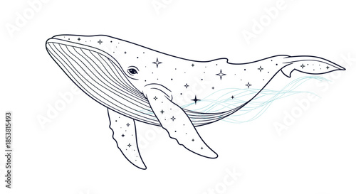Mystical hand-drawn sketch of a celestial whale swimming gracefully through cosmic waves and sparkling stars on a clean white background.