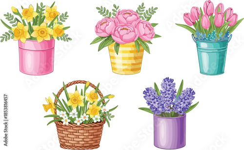 Set of spring flower arrangements including daffodils, peonies, tulips, and hyacinths in colorful pots and a wicker basket, floral vector.