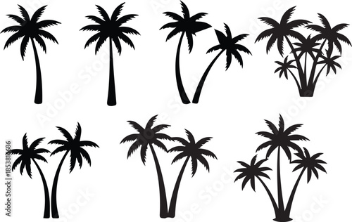 Palm Tree Silhouette Vector Set – Tropical Coconut Tree Icons Collection