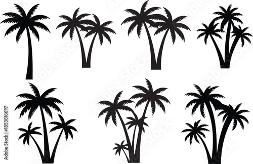 Palm Tree Silhouette Vector Set – Tropical Coconut Tree Icons Collection