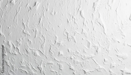Textured white clay wall, abstract monochrome background , background, image