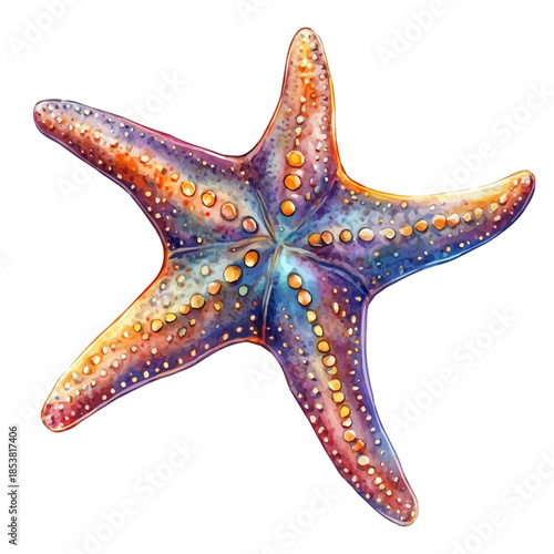 Starfish, semi-realistic fantasy style, subtle magical elements, soft glow, watercolor illustration, isolated on white background