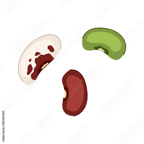 Three distinct bean varieties including kidney, pinto, and green mung bean appearing on a white background, representing legumes essential for a balanced diet and plant based nutrition