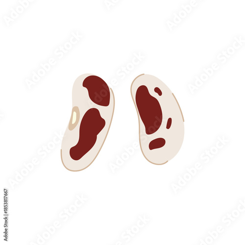 Pinto beans providing a simple, graphic representation of legumes for healthy eating, vegetarian protein, and cooking ingredient concepts, isolated on a clean white background