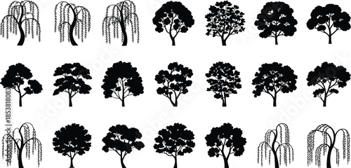 Black tree silhouettes collection, various deciduous and willow trees shapes, hand drawn nature icons, minimal vector illustration set for landscape design