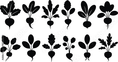Black vegetable silhouettes set, hand drawn root crops and leafy plants icons, minimal folk style vector illustration, organic farming and harvest elements