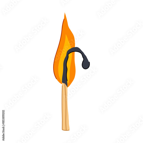 Burning wooden matchstick generating an orange and yellow flame, with the black, charred match head demonstrating the process of consumption and light