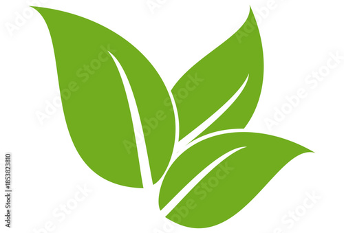 Leaf vector symbol, leaf illustration or leaf emoji in flat style. Spring leaf design, ecological nature theme.	