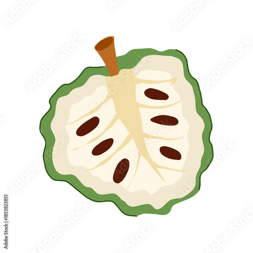 Custard apple half displaying its creamy white pulp and numerous dark seeds, representing a healthy, natural, and exotic tropical fruit rich in nutrition