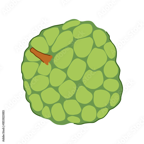 Custard apple fruit featuring a bumpy green skin and a brown stem, presenting a nutritious tropical food item with distinct texture and natural appeal
