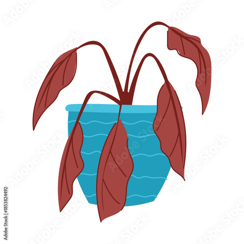 Potted houseplant experiencing decay and wilting, symbolizing concepts of neglect, failure, and the need for care, with its withered leaves drooping from dryness in a decorative blue pot