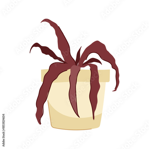 Dying houseplant featuring withered red leaves in a beige pot, representing neglect, dryness, and failure in plant care, isolated against a clean white background