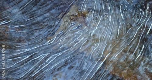 Wallpaper Mural Frozen water with intricate patterns of ice formations glistening in the light, creating a mesmerizing winter scene with a delicate leaf resting on the surface. Torontodigital.ca