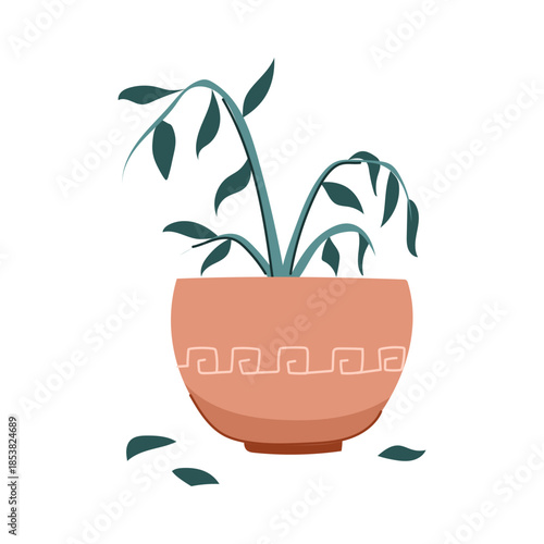 Unhealthy potted houseplant with drooping stems and fallen dry leaves in a decorative pot on white background, symbolizing neglect, decline, and need for plant care
