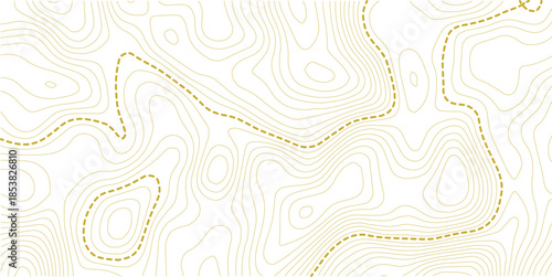 vector illustration.. Retro topographic map. Geographic contour map. Abstract outline grid.