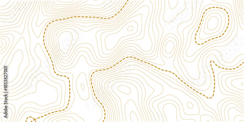 vector illustration.. Retro topographic map. Geographic contour map. Abstract outline grid.