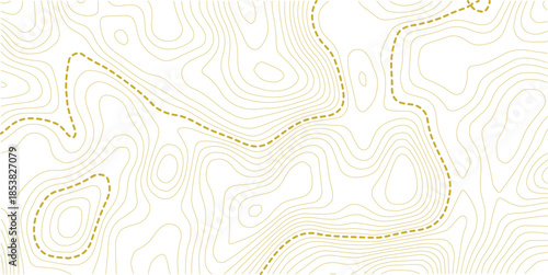 vector illustration.. Retro topographic map. Geographic contour map. Abstract outline grid.