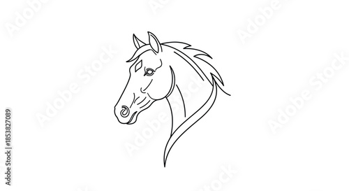 Elegant horse head profile illustration in black line art showcasing graceful curves and a majestic look on white.