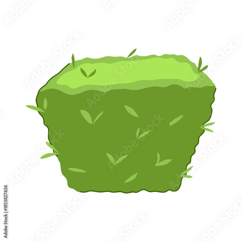 Green garden hedge with clean lines and small fresh leaves illustrating nature, growth, landscaping, and outdoor elements in a simple, isolated design