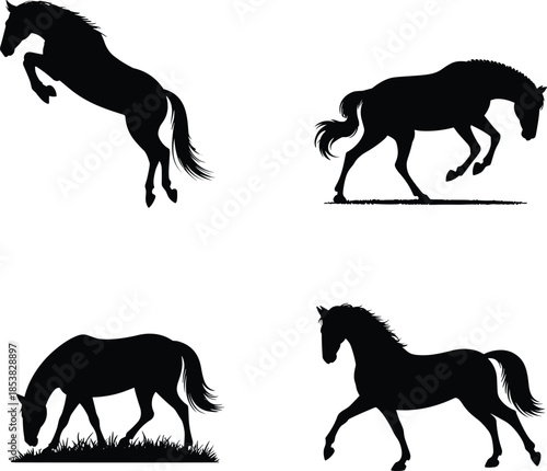 Horse silhouette set illustration showing jumping, grazing and running poses, elegant animal movement, black and white vector design