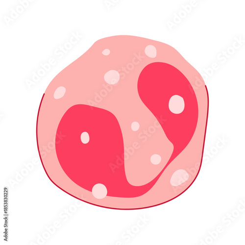 Neutrophil white blood cell illustration presenting the body s immune defense system, fighting against infection, inflammation, or disease at a microscopic cellular level